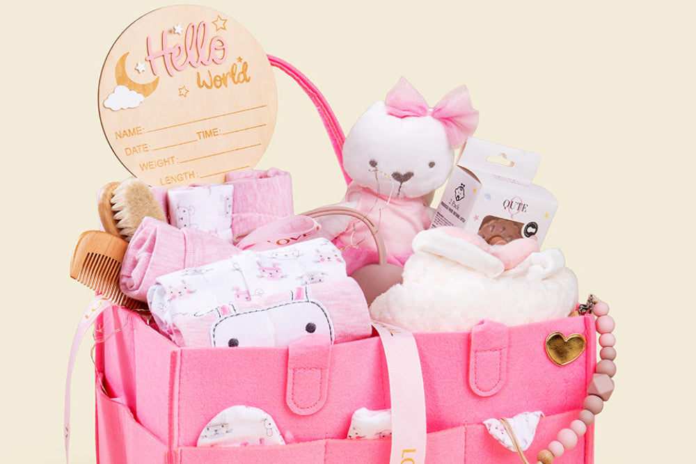 19-piece- Welcome to the World - Newborn Hamper - Baby Girl