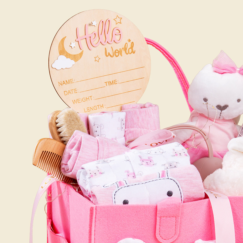 19-piece- Welcome to the World - Newborn Hamper - Baby Girl