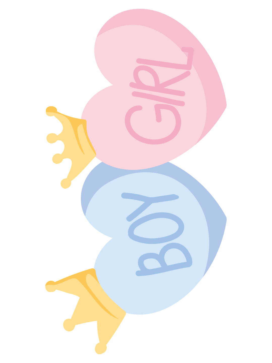 The Grand Reveal - Boy or Girl?