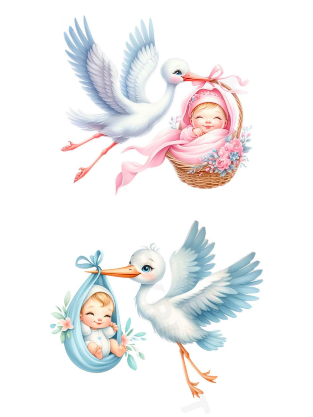 The Grand Reveal - Boy or Girl?
